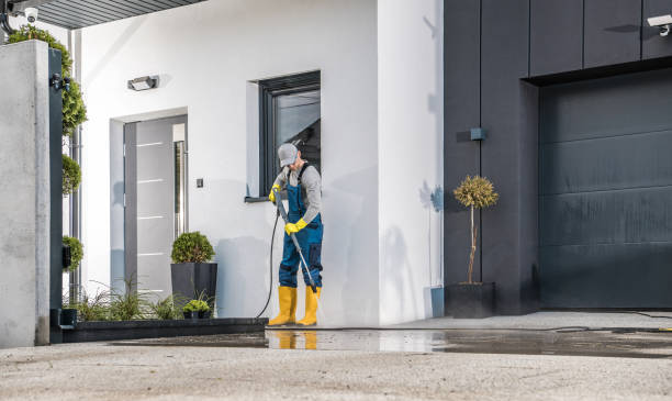 Best Roof Washing  in Mastic, NY